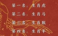 一身正气是什么生肖？一身正气打一生肖数字