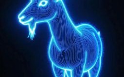 放光芒是什么生肖？放光芒最正确的生肖