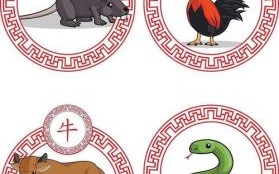 雷厉风行是什么生肖？雷厉风行打一正确动物