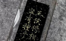 王侯宁有种的是什么生肖？王侯将相最佳生肖