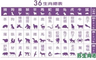 三帅是什么生肖？长相帅的生肖男