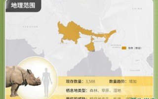 是犀牛是什么生肖？犀牛代表什么生肖