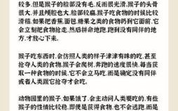 瞎子吃核桃砸了手是什么生肖？瞎子吃核桃打一准确动物