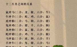 二八相合有玄机是什么生肖？二八相合打一准确生肖