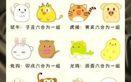 送是什么生肖？六是指什么生肖