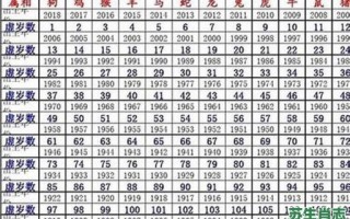 数是什么生肖？数打一准确生肖