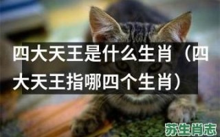 王是什么生肖？王打一准确的生肖