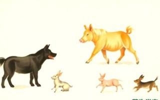 洞里生肖是什么生肖？洞里藏有什么动物生肖