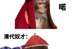 奴才命是什么生肖？奴才打一数字