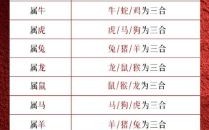 五星级宾馆是什么生肖？2025年五星级宾馆对应哪个生肖