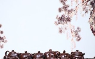 西施是什么生肖？西施打一正确生肖