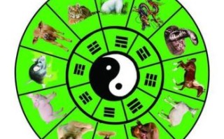 阴阳怪气是什么生肖？阴阳怪气打一准确动物