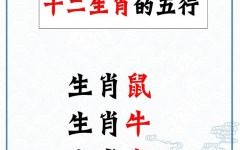 二七排中破是什么生肖？二七是什么生肖数字27是什么生肖