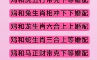 一地鸡毛是什么生肖？一地鸡毛最正确生肖