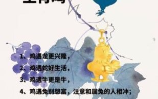 登 是什么生肖？一步登上打一准确生肖