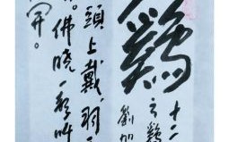 顶上红冠戴是什么生肖？红顶冠黎明亮最准确生肖