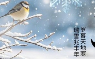 丰年是什么生肖？喜兆丰年家富裕打一生肖