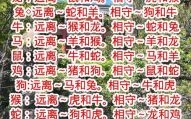 小小依人是什么生肖？相倚两依依打一生肖