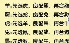 山中生肖是什么生肖？十二生肖谁是山中肖