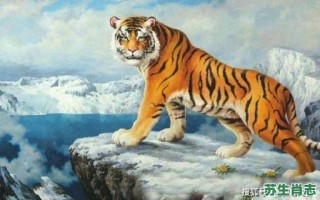 贫贱的生肖是什么生肖？贫穷代表哪个生肖