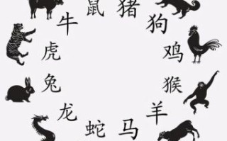 额头一个洞是什么生肖？头上生角打一准确生肖