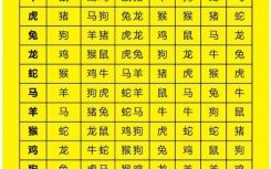 马对冲的生肖是什么？马犯冲的属相