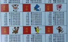 26岁是什么生肖？今年26岁属啥的