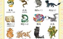 只是什么生肖？一代表什么动物