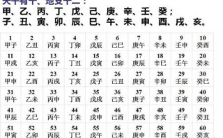 甲午是什么生肖？甲午年五行属什么