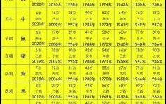 2019年是什么生肖年份？2019年阴历己亥年