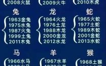 假龙是什么生肖？十二生肖真与假表