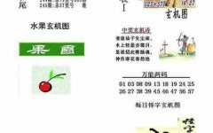 布衣是什么生肖？布衣打一准确动物