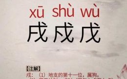 戍月有子日是什么生肖？戌代表什么数字