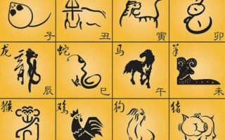 飞娥赴烛是什么生肖？烛指什么生肖