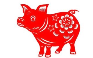 动不动是什么生肖？一动不动打一准确生肖