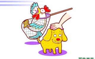 偷鸡摸狗是什么生肖？偷鸡摸狗打一准确动物