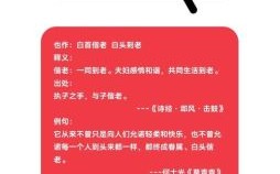 白头偕老是什么生肖？白头偕老最佳一肖