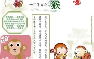 空忙生肖是什么？空忙正确答案一肖