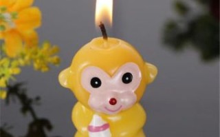 蜡烛是什么生肖？十二生肖谁是蜡烛