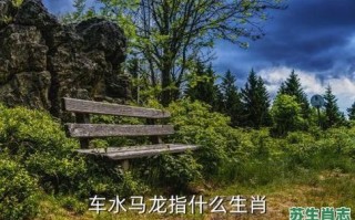 车水马龙的生肖是什么？车水马龙最正确答案