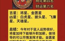 2026年十二生肖每月运程如何？完整运势分析助您吉星高照！