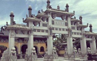 蟾宫宠物是什么生肖？蟾宫最正确生肖