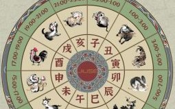 一时是什么生肖？一时是什么时辰