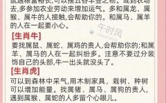 十二生肖贼是什么生肖？贼是指十二生肖哪个肖