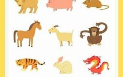 众所周知是什么生肖？众所周知打一精准动物