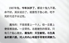 1987年是什么生肖？1987年属兔的最佳配偶