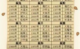 2026年十二生肖每月运程详解，你的属相今年运势如何？有哪些月份需特别注意？