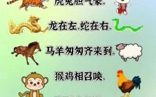 心有灵犀是什么生肖？心有灵犀打一准确动物