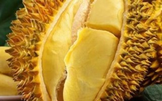 山王之王是什么生肖？山王之王最准确生肖