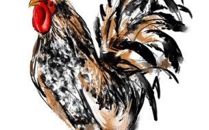 身小尾尖是什么生肖？身小尾长打最准确生肖